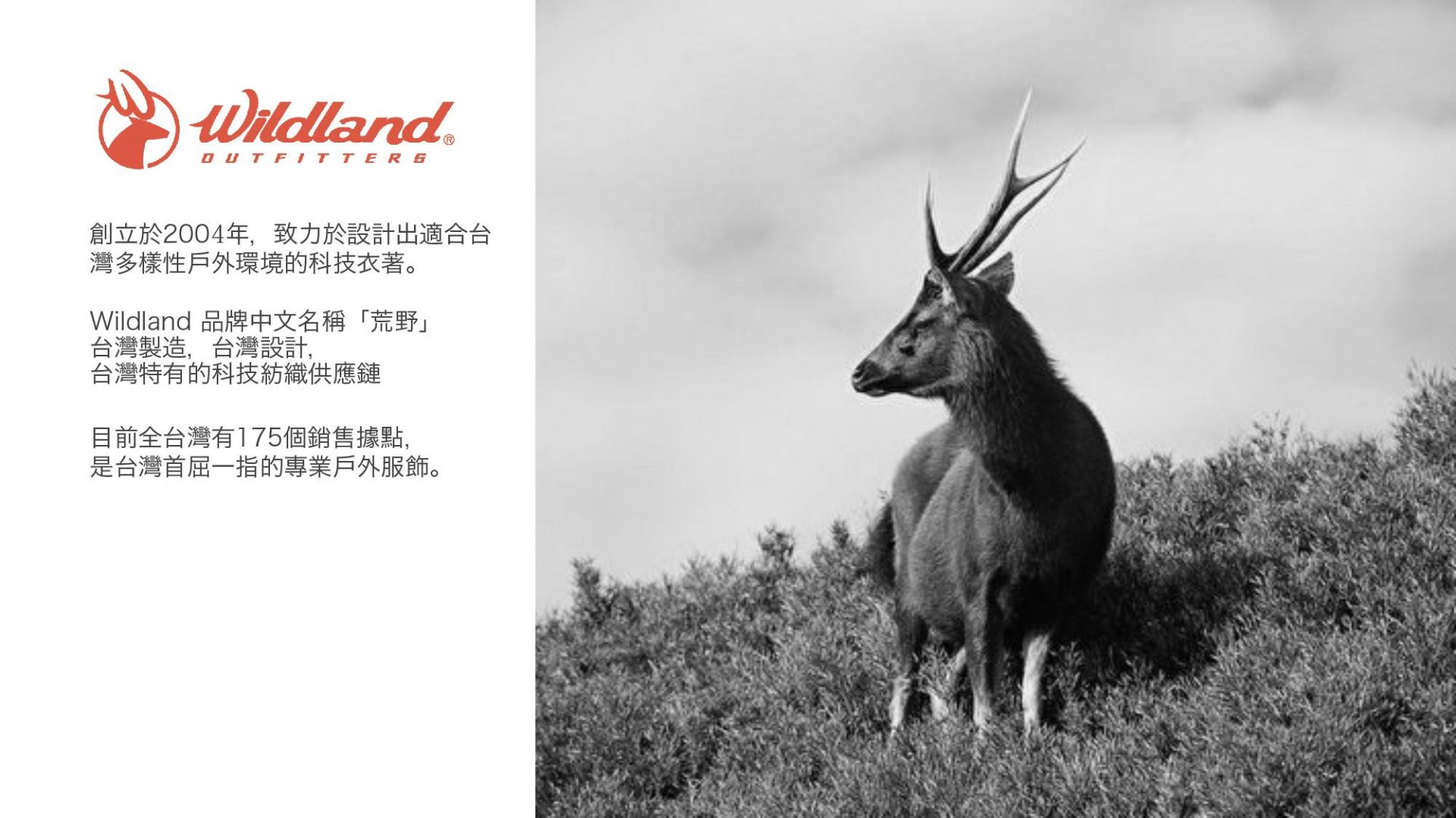 Wildland品牌起源簡介