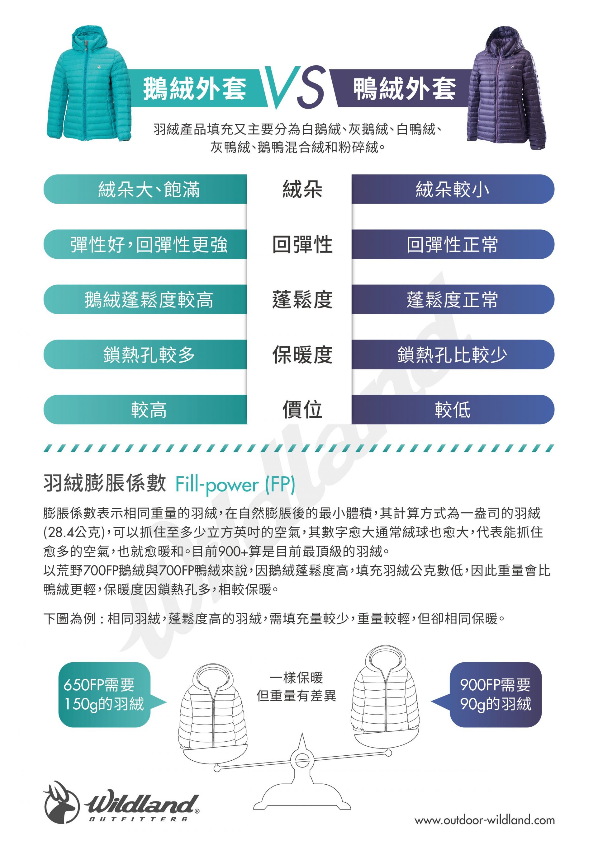 鵝絨外套 VS 鴨絨外套 - 最新消息 - WILDLAND 荒野國際